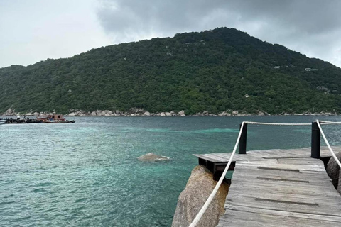 Koh Tao: Snorkeling Tour, Small-Group with Lunch & Transfer