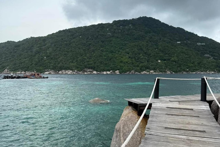 Koh Tao: Snorkeling Tour, Small-Group with Lunch & Transfer