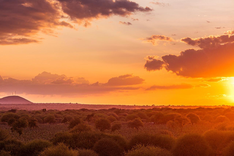 Overnight Group Safari to Amboseli National Park