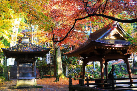 From Nagoya: Kegonji Temple, Yoro Park & Kiyosu Castle Tour
