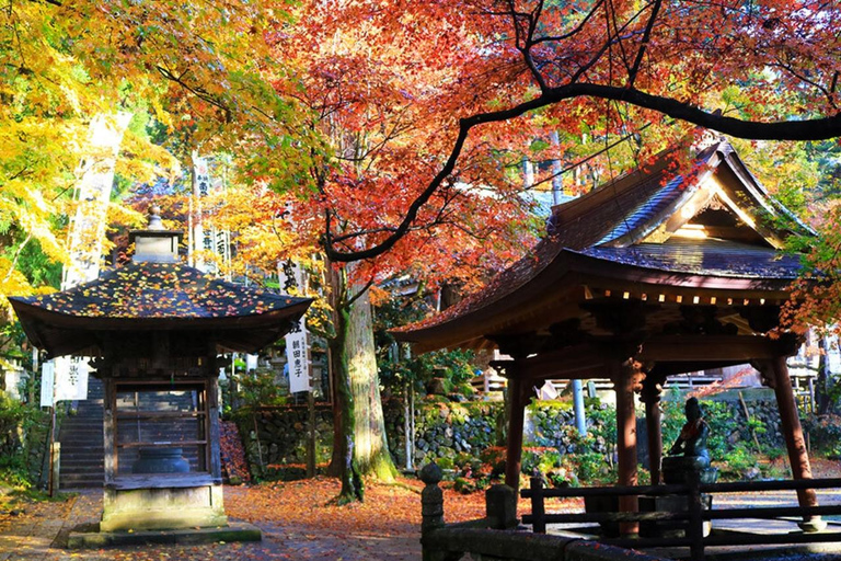 From Nagoya: Kegonji Temple, Yoro Park & Kiyosu Castle Tour