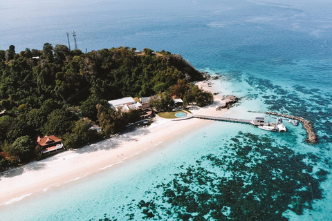 Phuket: Phi Phi Islands Day Trip with Meals & Transfer