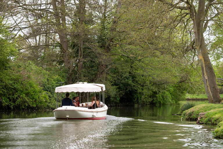 Oxford: Crucero turístico por el río con té por la tarde