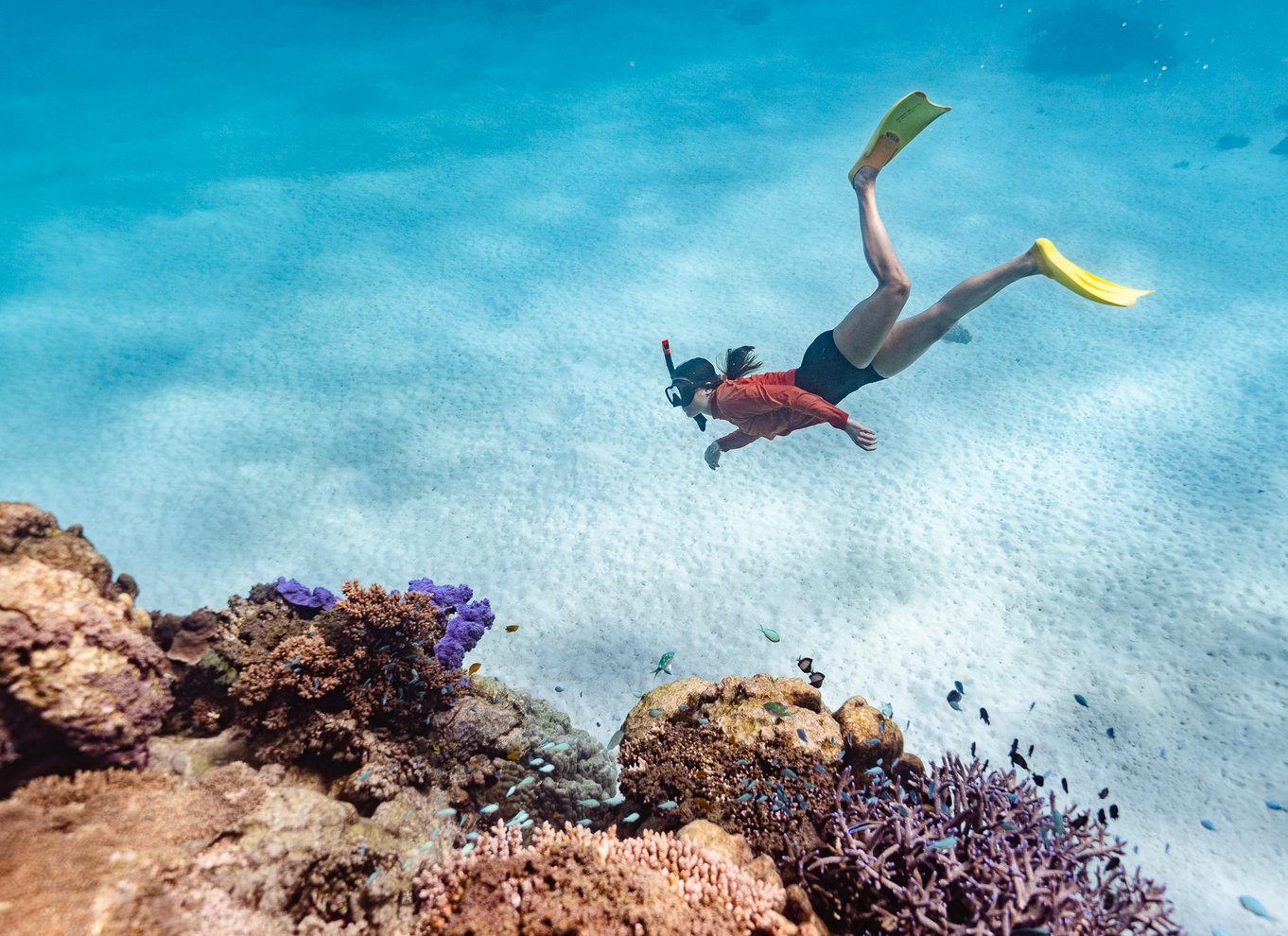 Exmouth: Guidet snorkeleventyr på Ningaloo Reef