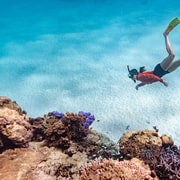 Exmouth: Guided Ningaloo Reef Snorkel Adventure