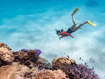 Exmouth: Guided Ningaloo Reef Snorkel Adventure