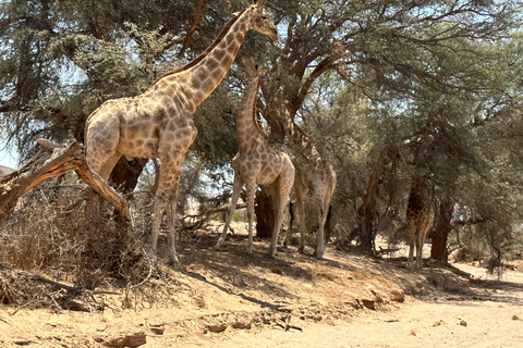 Namibia 14-dniowa wyprawa przygodowa