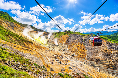 Tokyo Mt Fuji Hakone Private Tour with French Speaking Guide French-Speaking Guide Option-Toyota Alphard / HiAce
