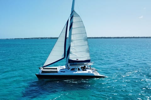 Bahamas: Schwimmende Schweine & Schnorchel-Kreuzfahrt mit Mittagessen & Rum