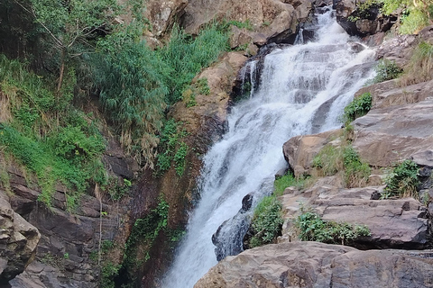 From South Coast: Ella Day Tour with Waterfalls & Monastery