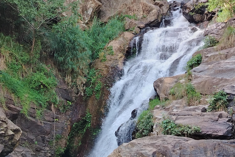 From South Coast: Ella Day Tour with Waterfalls & Monastery