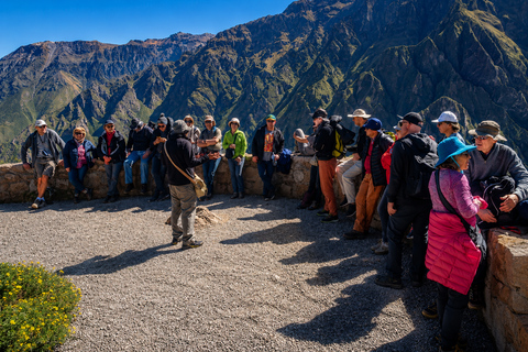Arequipa to Puno: Colca Canyon & Chivay Community Homestay
