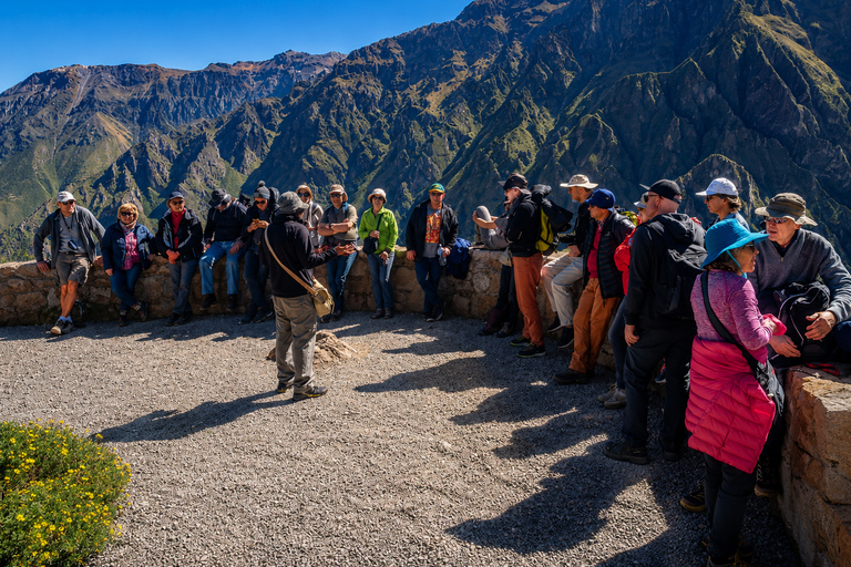Arequipa to Puno: Colca Canyon & Chivay Community Homestay