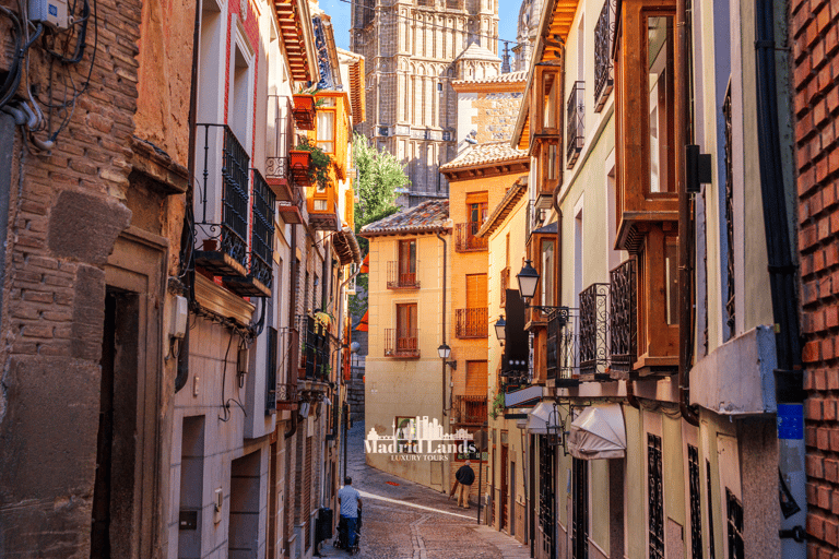 Madrid: Excursão de luxo a Vinhedo e Toledo