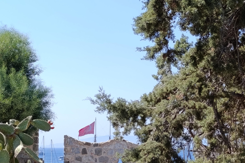 Bodrum St.Peters castle & Underwater Archeology Museum tour!