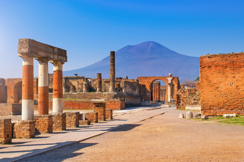 Biglietto di ingresso prioritario e audioguida di Pompei