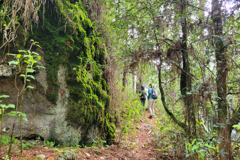 2-Day Sierra Norte Cloud Forest Adventure
