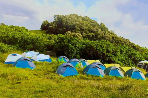 Roof of Africa: Simien Sunrise to Sunset: 5-Day Simien Trek
