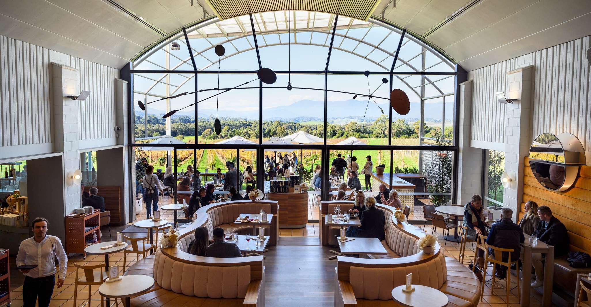 From Melbourne: Yarra Valley Chandon Cheese & Kangaroos Tour photo 9