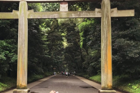 Complete tour door Tokio in één dag, bezoek alle 10 populaire bezienswaardigheden