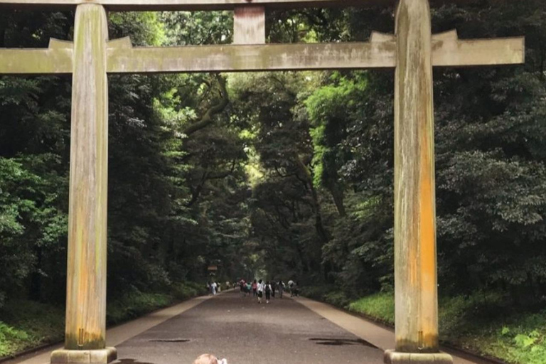 Excursão a Tóquio: 10 principais destaques da cidade Excursão guiada de 1 diaTóquio: Passeio completo em um dia, visite todos os 10 pontos turísticos populares