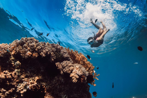 Sharm El-Sheikh: Pvt Speedboat to Tiran Island Snorkel/Dive