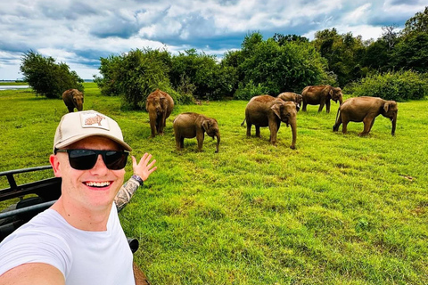 Minneriya Elephant Safari with Expert Local Driver-Guide