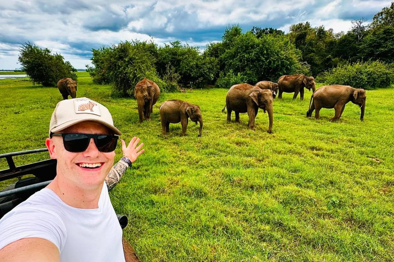 Minneriya Elephant Safari with Expert Local Driver-Guide