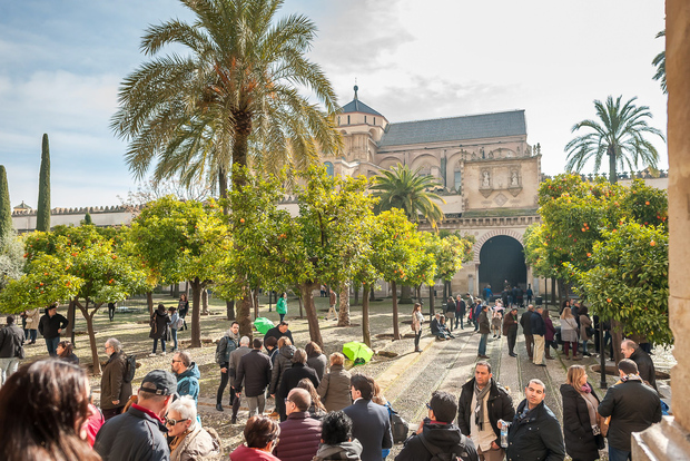 Cordoue : Visite à pied des monuments