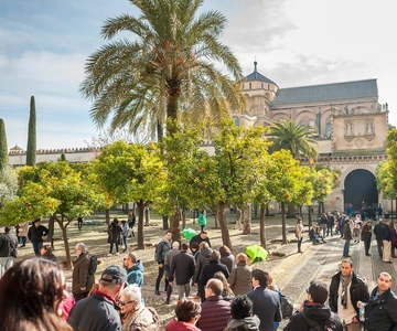 Cordoba: Monuments Walking Tour