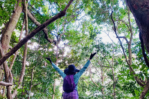 Cat Ba: Half Day Trekking to Visit Cat Ba National Park