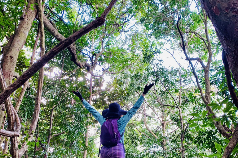 Cat Ba: Half Day Trekking to Visit Cat Ba National Park