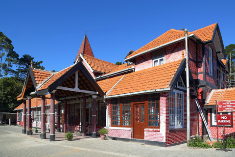 Kandy to Ella: Ramboda, Tea Factory & Nuwara Eliya Tour