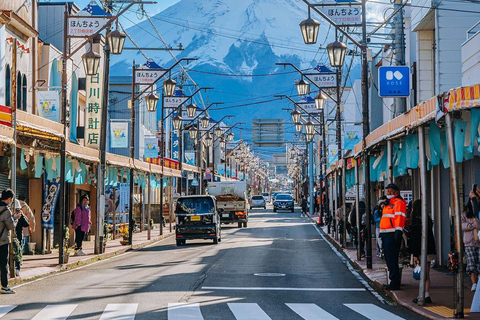 Tour privado de un día al Monte Fuji con conductor de habla hispana