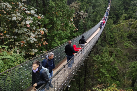 5TOUR+Lux Car+CAPILANO SUS BR+STANLEY PARK+DAM+LAKE+HATCHERY