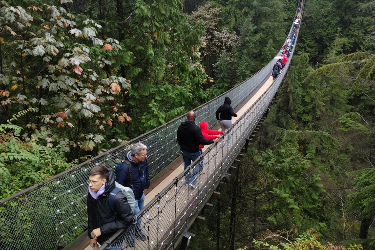 5TOUR+Lux Car+CAPILANO SUS BR+STANLEY PARK+DAM+LAKE+HATCHERY