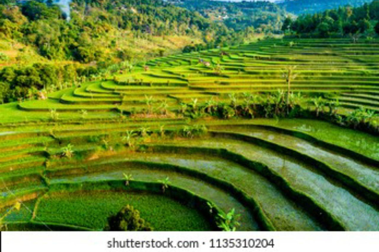 Yogyakarta; Wasserfall und terrassierte Reisfelder