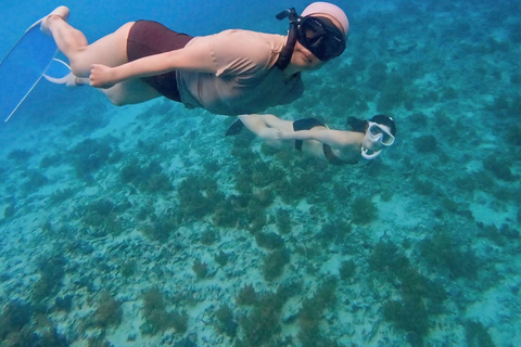 Private Snorkeling in Gili Trawangan, meno & air with goopro Option 1:Private Snorkeling in Gili T,meno & air with goopro