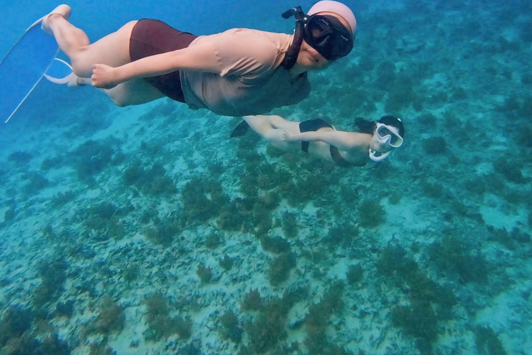 Private Snorkeling in Gili Trawangan, meno & air with goopro Option 1:Private Snorkeling in Gili T,meno & air with goopro