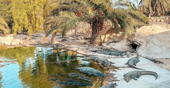 Djerba / Crocodile Farm visit with pick-up