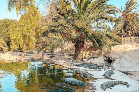 Djerba / Crocodile Farm visit with pick-up