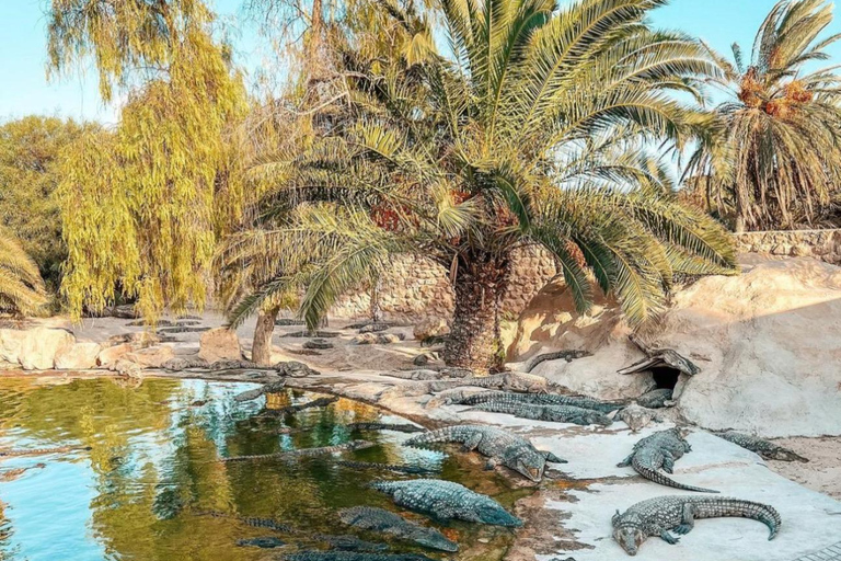 Djerba / Crocodile Farm visit with pick-up