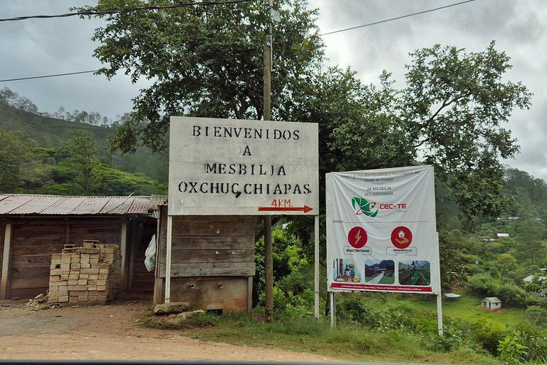 Palenque to San Cristóbal Transfer: Falls & Daylight Arrival