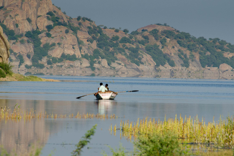 Jodhpur: Day Trip to Jawai Leopard Safari and Ranakpur Tour for 4-6 Travellers