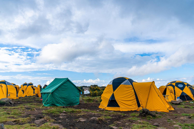 Excursão de 6 dias de trekking no Kilimanjaro pela Rota Marangu