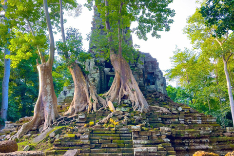 From Siem Reap: 5-Day Angkor Temples & Phnom Penh