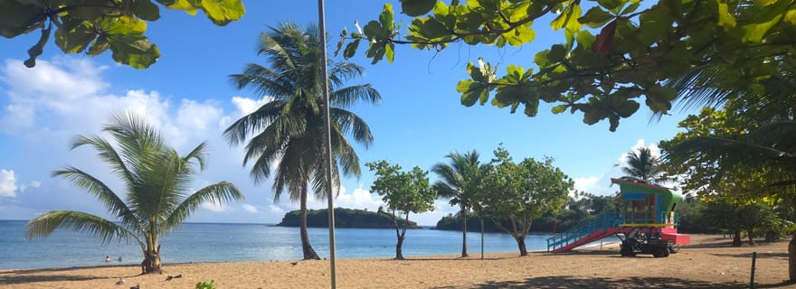 Vega Alta : excursion de snorkeling à Playa Cerro Gordo