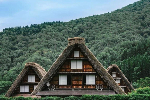 From Kanazawa: Shirakawa-go and Takayama Private Day Trip