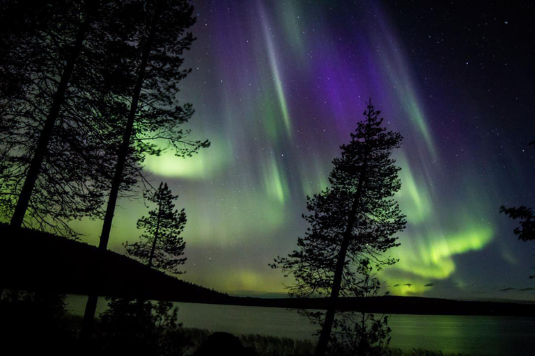 Rovaniemi : Circuit de chasse aux aurores boréales avec garantie