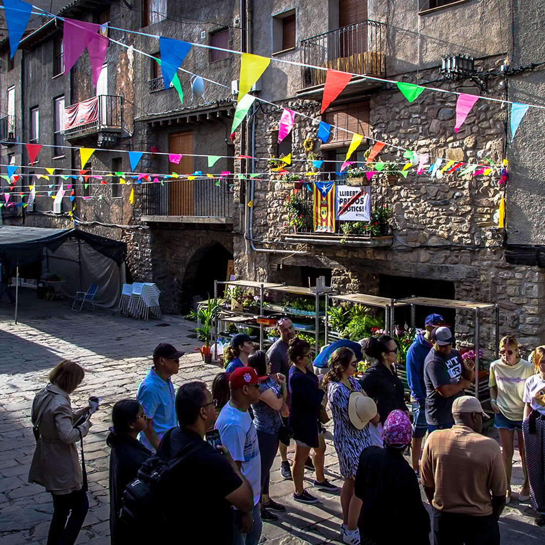 Galería de fotos para redes